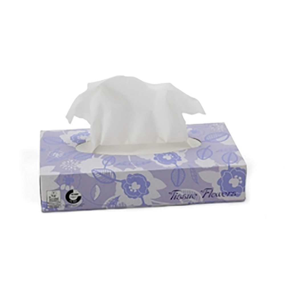 Paquet De Mouchoirs 20 Mouchoirs Tête De Mort - 2x10 Mouchoirs