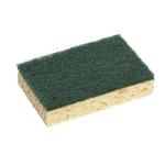 Eponge grattante 74 vert/blond 100% recyclées l'unité SPONTEX