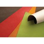 Set de table 30x40 Kraft chocolat les 500