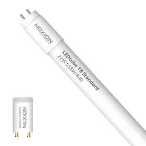Tube 22W - 840 Blanc Froid Noxion T8 Standard (58W eqv.) 1500mm LED